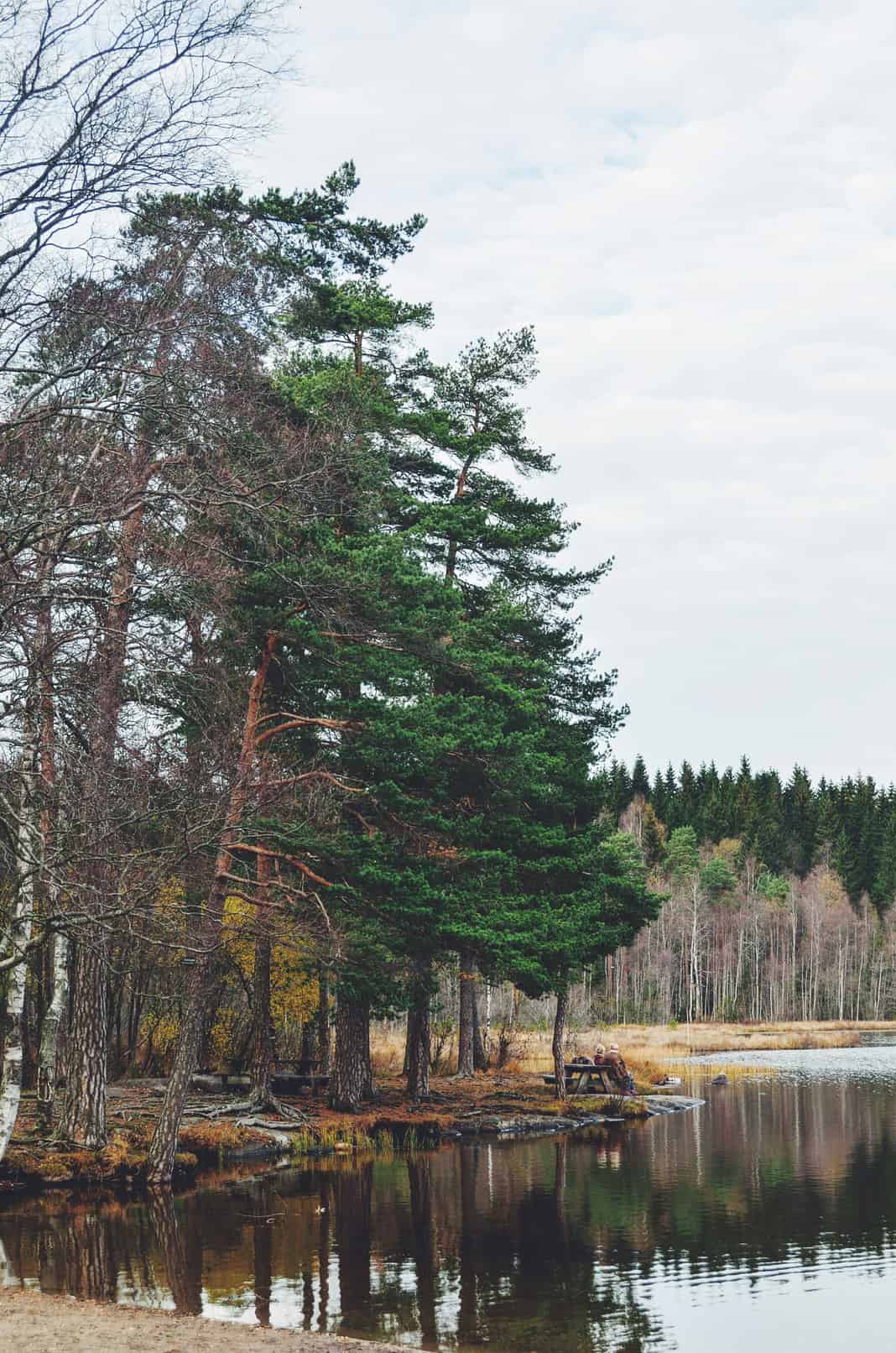Mjøsa Lake — Pike & Trout